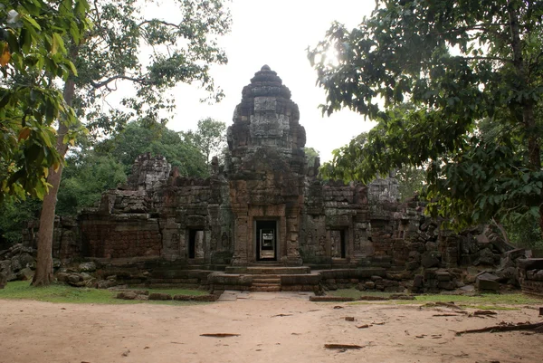 Starověké ta Braňany chrám angkor, hedvábí – cotton tree spotřebovává antické ruiny, Kambodža — Stock fotografie