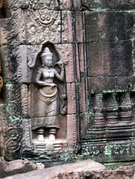 Antiguo templo Ta prohn en Angkor, árbol de seda-algodón consume las ruinas antiguas, Camboya — Foto de Stock
