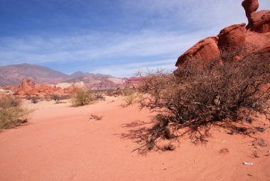 çöl atacama, and yatay, kanyonlar, cafayate, Arjantin