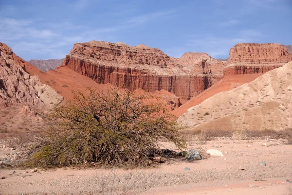 Deserto atacama, Paesaggio andino con canyon, Caffè, Argentina — Foto Stock
