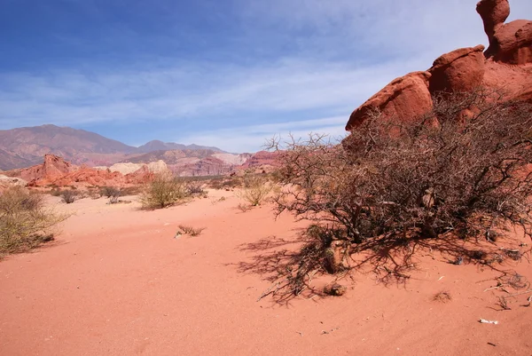 Atacama del desierto, paisaje andino con cañones, Cafayate, Argentina — Foto de Stock