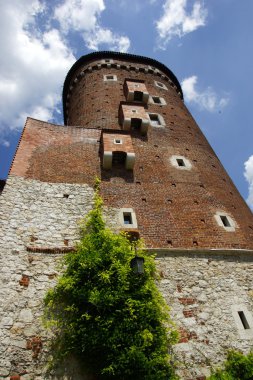 Arcades wawel Castle, Krakov, Polonya.