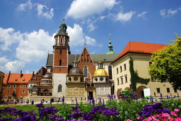Katedrális a Wawel, a székesegyház Basilica of Sts. Stanislaw és Václav a krakkói Wawel-domb — Stock Fotó