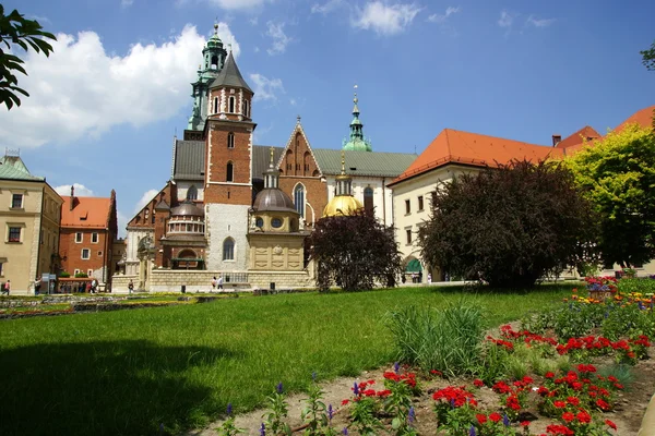 Wawel Katedrali, sts katedral bazilika. Stanislaw ve vaclav cracow wawel hill üzerinde — Stok fotoğraf