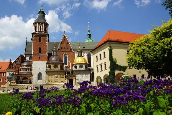 Wawel-kathedraal, de kathedraal basiliek van St. Stanislaw en vaclav op de heuvel wawel in Kraków — Stockfoto