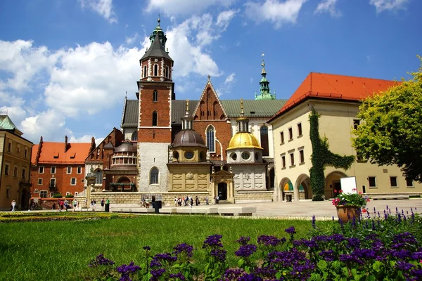 Wawelin katedraali, Pyhän Pietarin katedraali. Stanislaw ja Vaclav Wawelin kukkulalla Krakovassa — kuvapankkivalokuva
