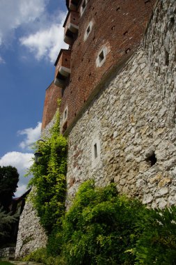 Krakov, Polonya, Wawel Kalesi.