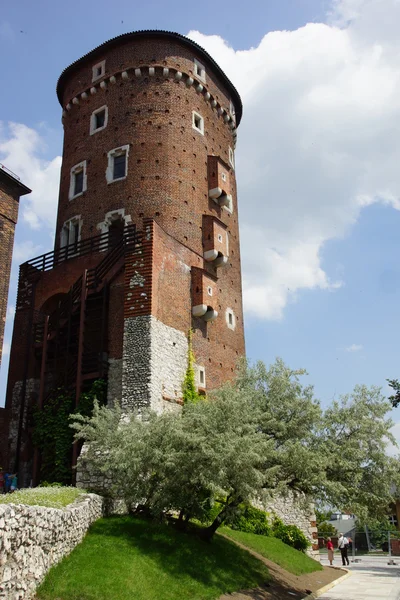 Wawel kasteel in Krakau, Polen. — Stockfoto