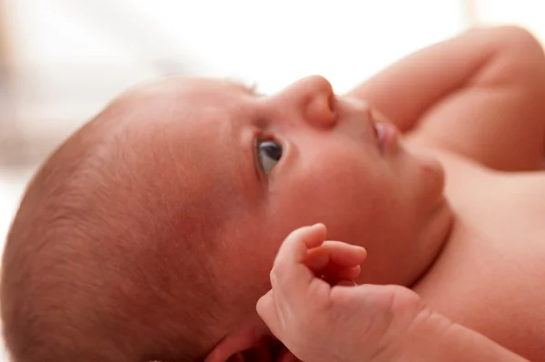驚きの新生児の肖像画 — ストック写真