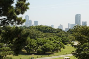 Tokyo, Japonya 'ya park et.