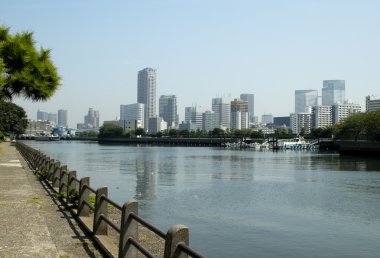 Tokyo, Japonya 'ya park et.