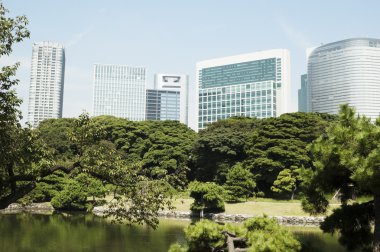 Tokyo, Japonya 'ya park et.