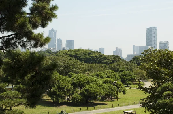 Park w Tokio, Japonia — Zdjęcie stockowe