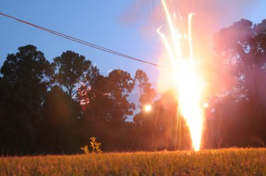 Fireworks in Backyard clipart