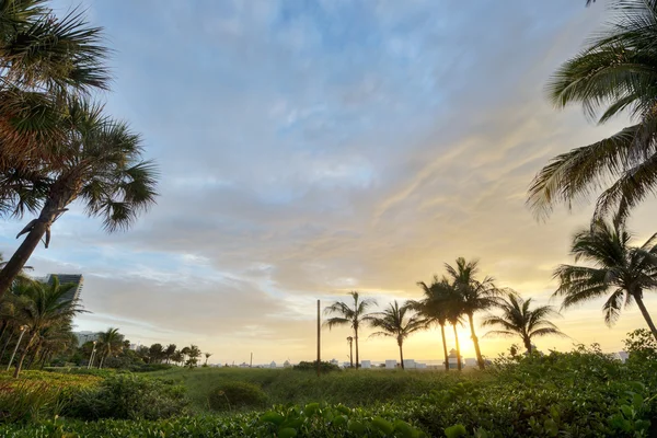 Miami beach w sunrise — Zdjęcie stockowe