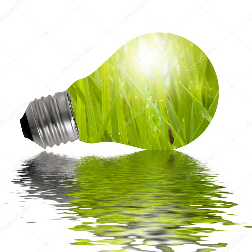 Eco Lamp reflected in water