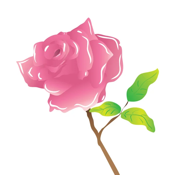 A szár rózsaszín rózsa, fehér — Stock Vector