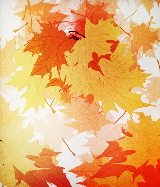 秋季 mpaple 叶子背景 — 图库照片