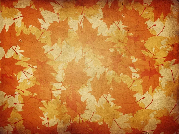 Maple leaves on paper background — Stock Photo, Image