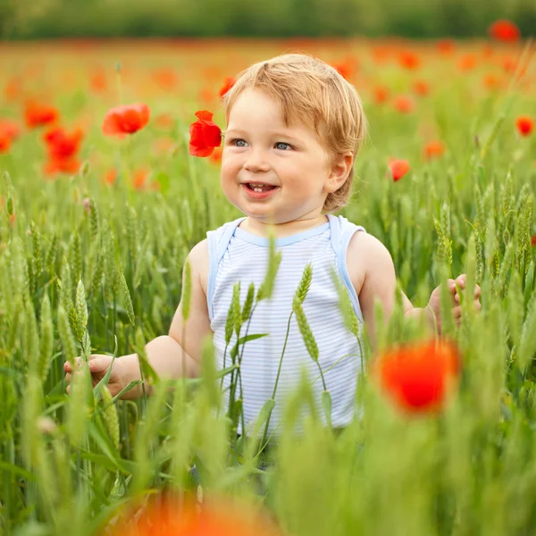 Anak kecil di ladang opium — Stok Foto
