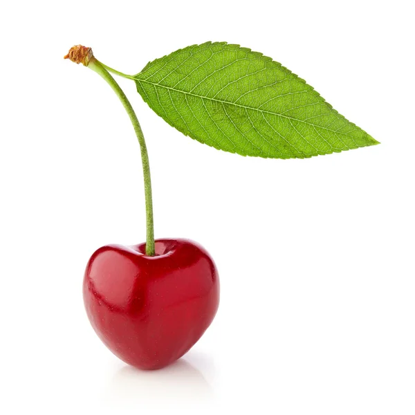 Uma cereja com folha — Fotografia de Stock
