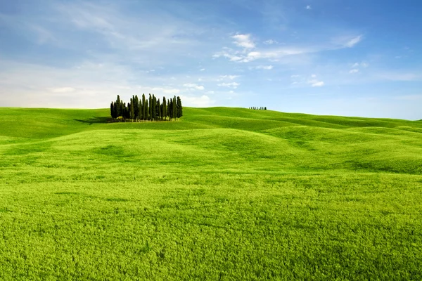 Typisch landschap in Toscane, Italië — Stockfoto