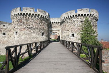 Kalemegdan fortress clipart