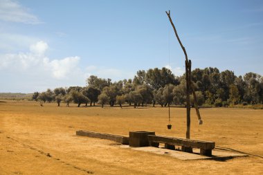 Geleneksel Sırp iyi? eram