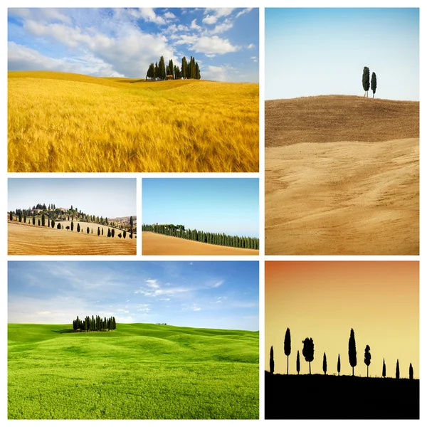 Collage paesaggio Toscana — Foto Stock