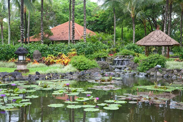 Открытый сад с пальмами и прудом из воды . — стоковое фото