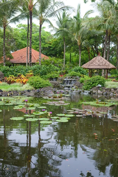 Gyönyörű trópusi kültéri kerti pálmafák és a tó, a víz liliomok. — Stock Fotó