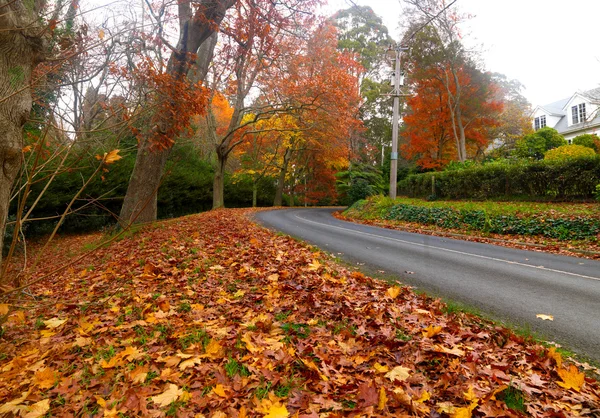 Autumn on the country road — Stock Photo, Image
