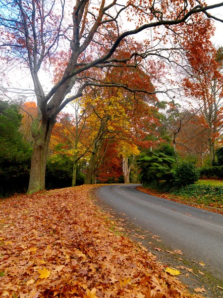 Autumn on the country road — Stock Photo, Image