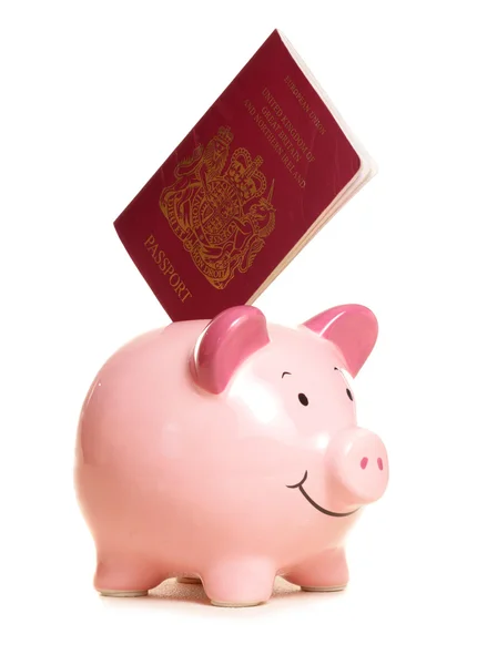Sparschwein mit Pass — Stockfoto