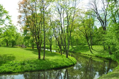 Pond in park clipart