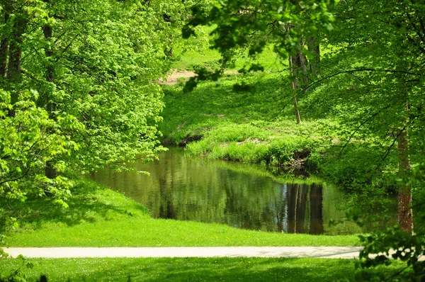 Маленькая река в парке — стоковое фото