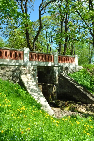 Bron i parken i en solig dag — Stockfoto