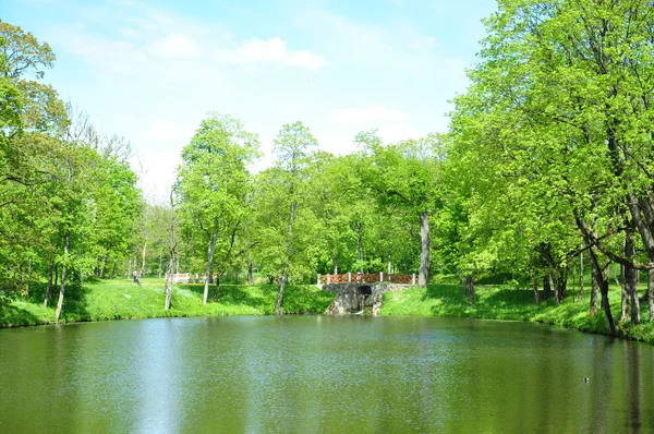 Slunečný den v parku u rybníka — Stock fotografie