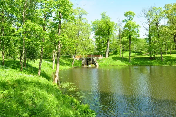 Rybník v parku — Stock fotografie