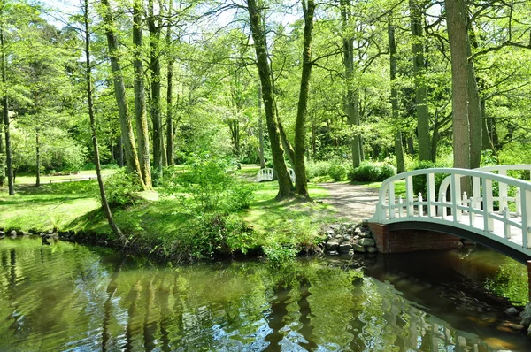 Pequenas pontes brancas no parque — Fotografia de Stock