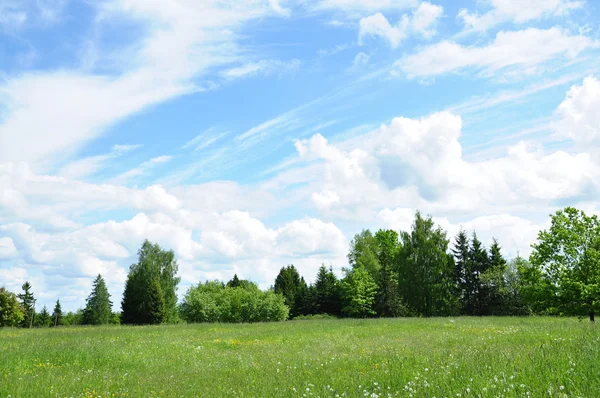 蓝蓝的天空和绿色草坪 — 图库照片