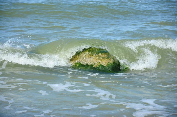 海の波と石 — ストック写真