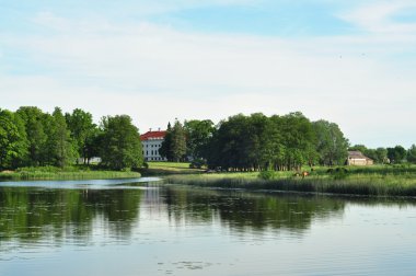 Park peyzaj