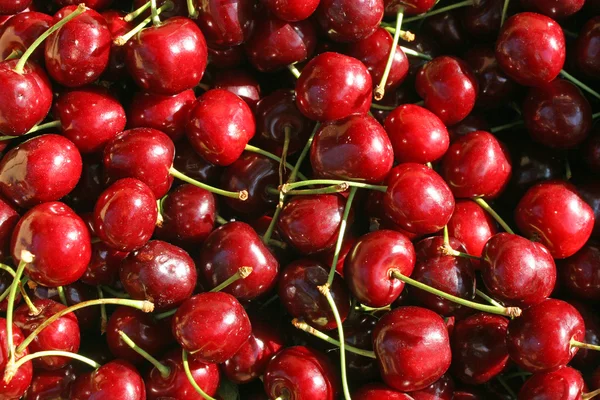 Fondo de cerezas rojas maduras para la venta en el mercado — Foto de Stock