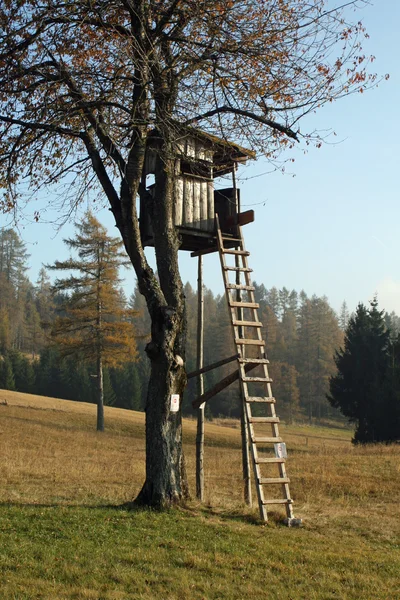Hütte inmitten der von Jägern genutzten Bäume — Stockfoto
