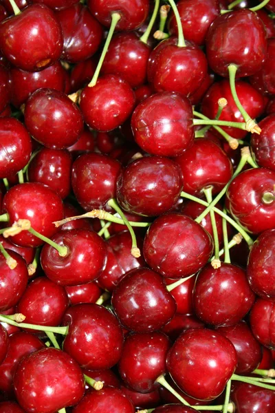 Background of red ripe cherries for sale at market Stock Photo