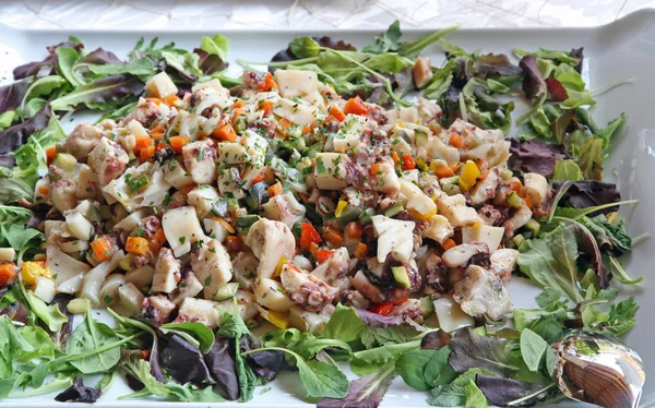 Salade de poisson avec poulpe servie sur un plateau — Photo