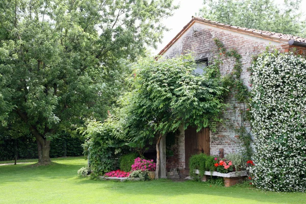 Old rural house with garden flowers and Jasmine — Stock Photo, Image