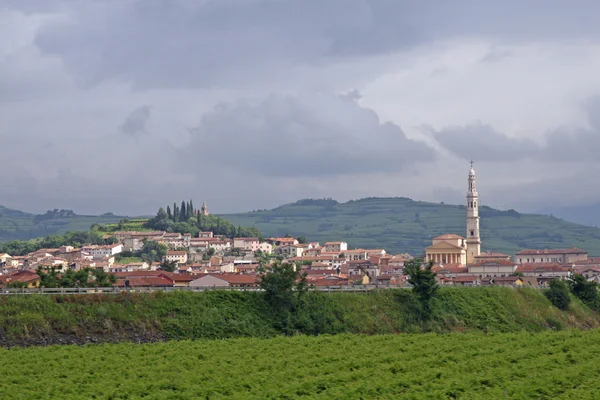 City of soave and the Bell Tower on a hill with the rows of vine — Stock Photo, Image