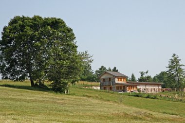 bir tepe ve asırlık ağacın tepesinde rustik kır evi